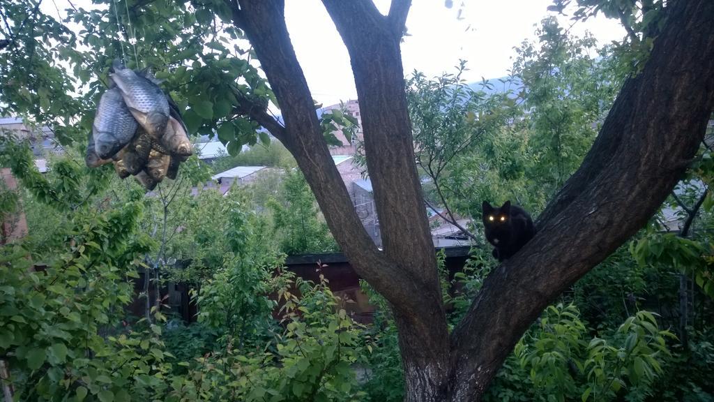 Guest House Edem Tbilisi Luaran gambar