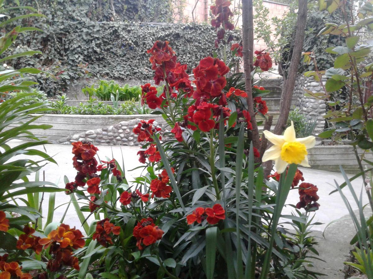 Guest House Edem Tbilisi Luaran gambar
